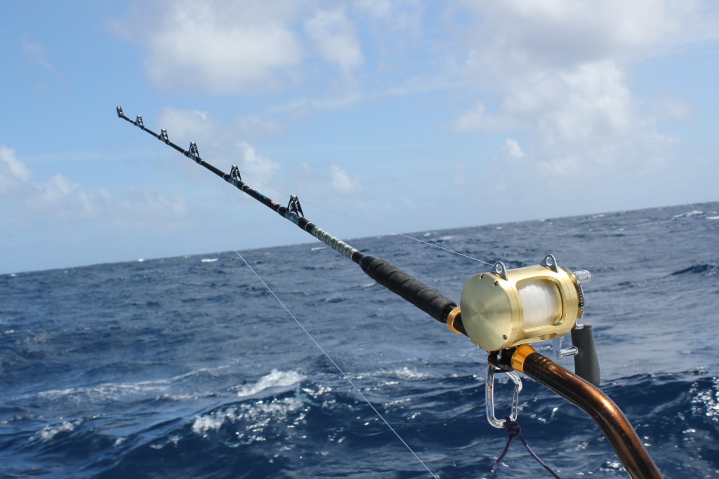 fishing domincan republic