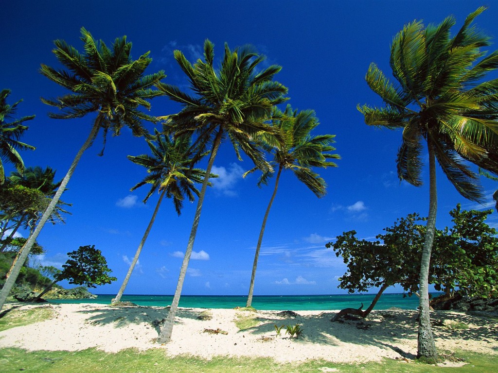 plage émeraude république dominicaine