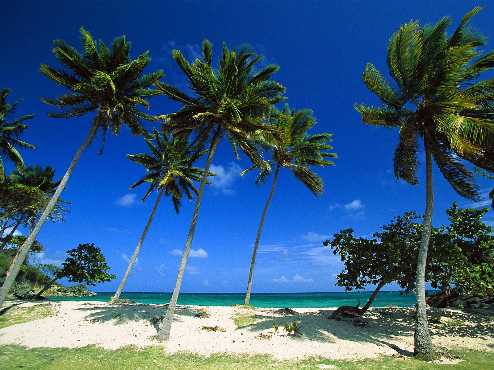 emerald beach dominican republic Club Fantasy Island
